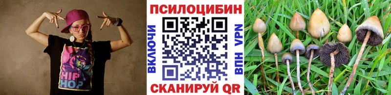 Галлюциногенные грибы мицелий  Лиски 